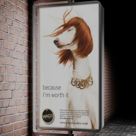 WAGS Advert Design Concept